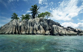 海，石，樹，雲，塞舌爾島 高清桌布