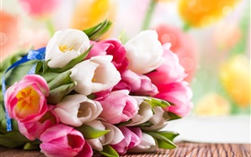 春天，鬱金香，花，白，粉 高清桌布