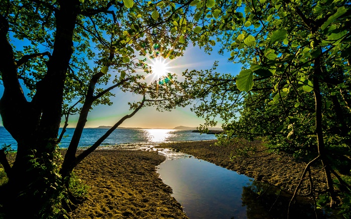 太陽光線，樹木，湖泊 桌布 圖片