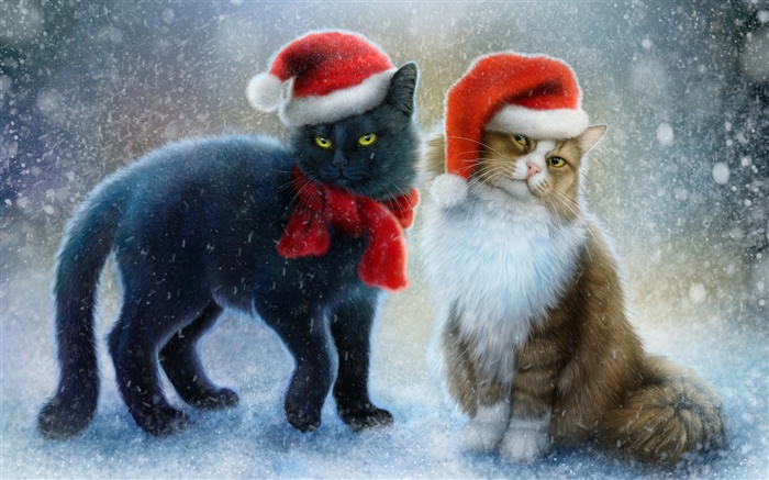 兩隻貓，雪，圍巾，聖誕帽 桌布 圖片