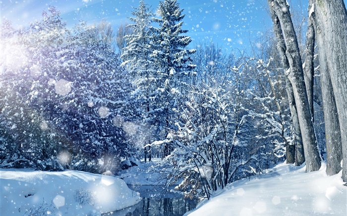 冬季，森林，樹木，河流，厚厚的積雪 桌布 圖片
