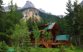 加拿大阿爾伯塔省，別墅，住宅，森林，樹木，山 高清桌布