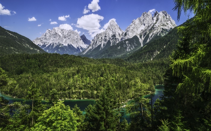 阿爾卑斯山，巴伐利亞，德國，山脈，森林，河流 桌布 圖片
