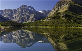 加拿大景觀，湖，山，林，水中的倒影 高清桌布