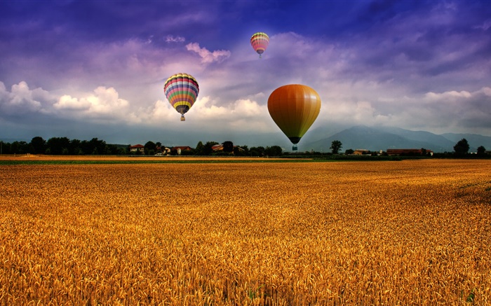 農場，場，熱氣球，天空，雲，房屋，村莊 桌布 圖片