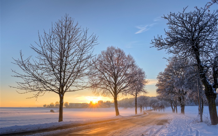 德國，冬天，雪，樹木，道路，房屋，夕陽 桌布 圖片