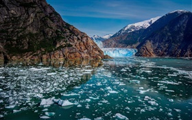 冰川灣國家公園，阿拉斯加，美國，高山，冰川，冰，湖