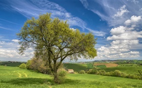 意大利，自然風光，群山，田野，房子，樹，春天 高清桌布