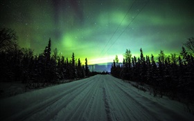 北極光，道路，松樹，星星 高清桌布