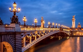 巴黎，法國，晚上，燈，橋