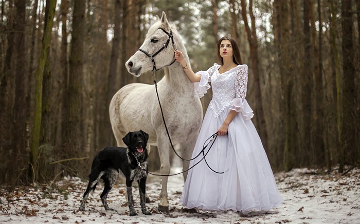 復古風格，白色禮服的女孩，馬，狗，森林 桌布 圖片