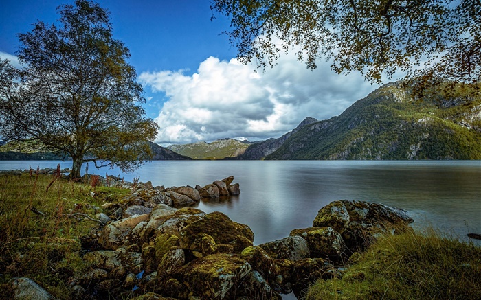 羅加蘭，挪威，湖，山，樹，怪石，雲海 桌布 圖片