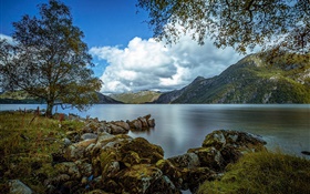 羅加蘭，挪威，湖，山，樹，怪石，雲海 高清桌布