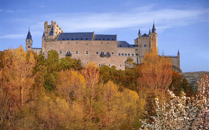 西班牙，塞哥維亞城堡，宮殿，樹，天空，秋天 桌布 圖片