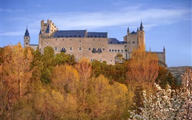 西班牙，塞哥維亞城堡，宮殿，樹，天空，秋天 高清桌布
