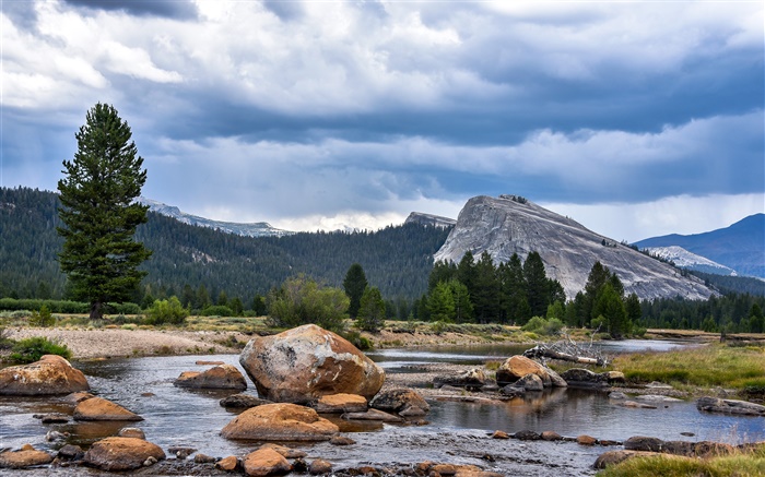 美國，加利福尼亞州優勝美地國家公園，森林，山，雲，岩石 桌布 圖片