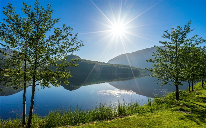 Vigesaa，羅加蘭，挪威，湖泊，樹木，陽光 桌布 圖片