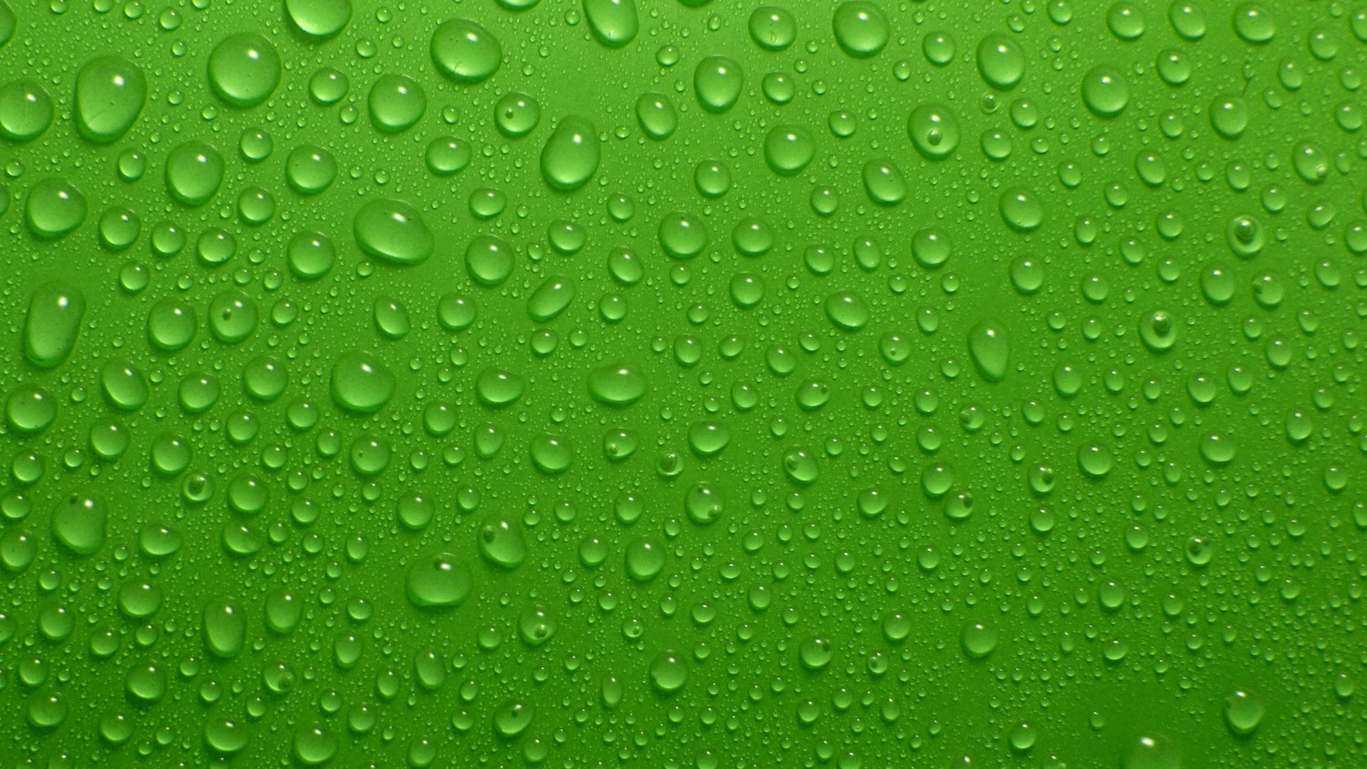 高清晰带水珠的绿色嫩草壁纸-欧莱凯设计网