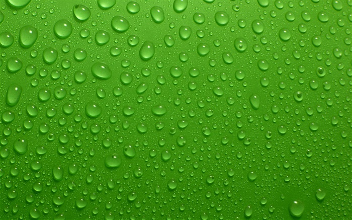 水滴，綠色背景 桌布 圖片
