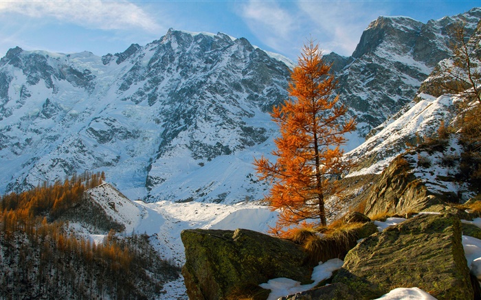 冬季，山，雪，樹木，石頭 桌布 圖片