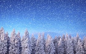 冬季，雲杉樹，藍色的天空，雪花，雪