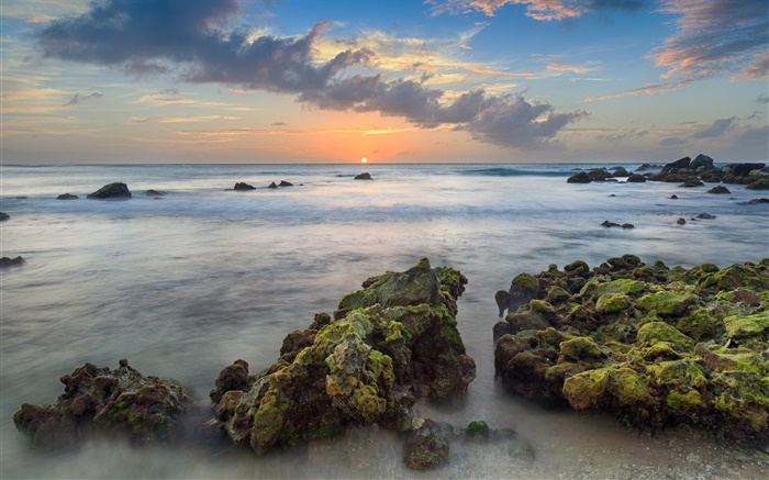 阿魯巴島，加勒比，嵐灣，石，海，海岸，日落，雲 桌布 圖片