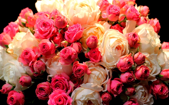 花束玫瑰鮮花，紅色和白色 桌布 圖片