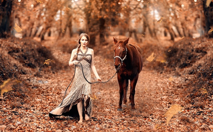 女孩和馬，秋天，黃葉 桌布 圖片