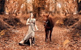 女孩和馬，秋天，黃葉 高清桌布