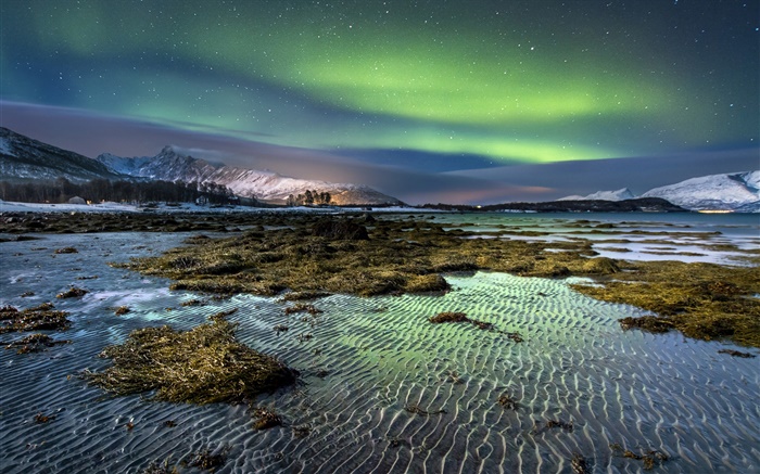 挪威，北極光，夜晚，星星，海，海岸，冬天，雪 桌布 圖片