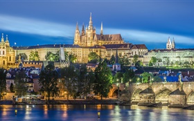 布拉格，捷克共和國，河，橋，聖維特大教堂，夜晚，燈 高清桌布