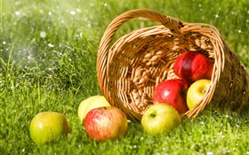 紅色和綠色的蘋果，水果，籃子，草