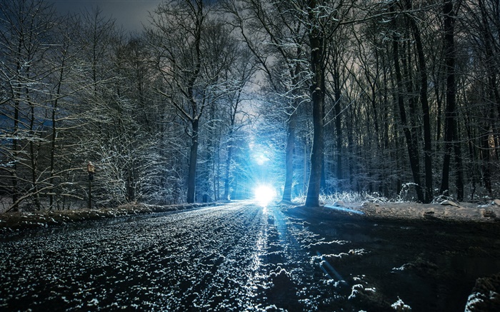 冬季，道路，樹木，洞，雪，燈 桌布 圖片