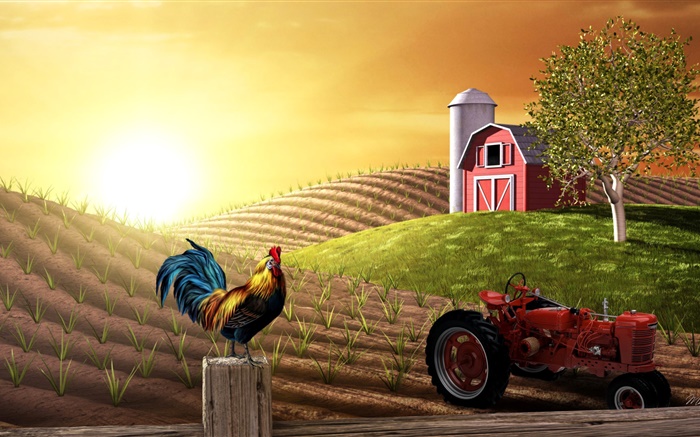3D圖片，農場，場，拖拉機，公雞，房子，太陽 桌布 圖片
