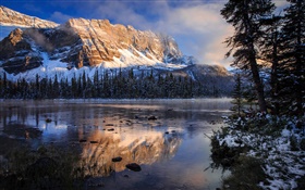 班夫國家公園，加拿大，洛磯山脈，湖泊，早上，水中的倒影 高清桌布