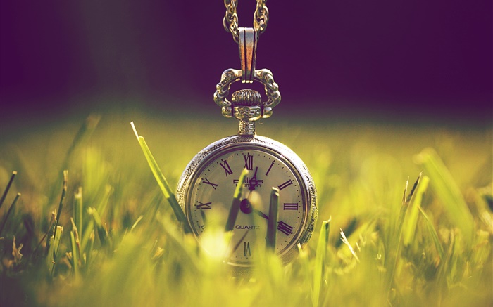 時鐘在草地上，綠色，陽光 桌布 圖片