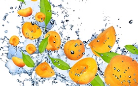 水果，杏，新鮮，水，飛濺 高清桌布