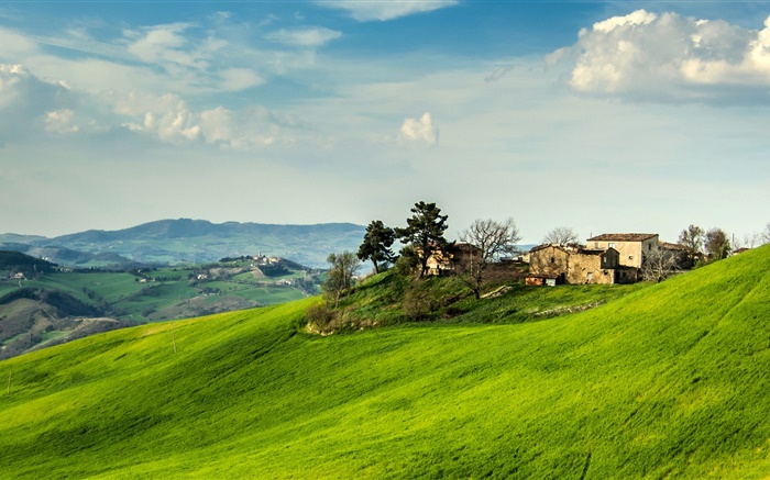 意大利，邊坡，草，房子，樹，雲 桌布 圖片