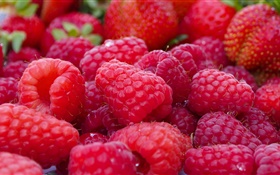許多紅樹莓，水果宏 高清桌布