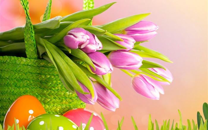 紫色的鬱金香，花，籃，復活節，春天 桌布 圖片