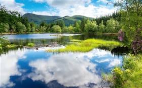 蘇格蘭，英國，綠地，樹木，高山，湖泊，水中的倒影 高清桌布