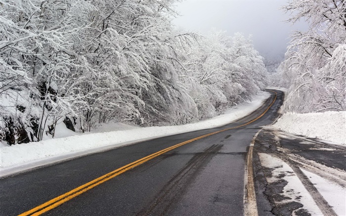 冬天，雪，道路，樹木，白 桌布 圖片