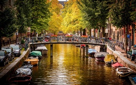 阿姆斯特丹，荷蘭，橋樑，河流，船隻，房屋，樹木，秋天 高清桌布
