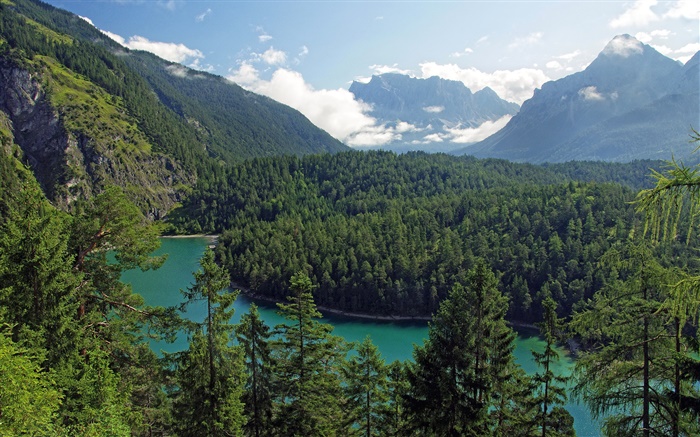 奧地利蒂羅爾州，山，森林，樹木，河流 桌布 圖片
