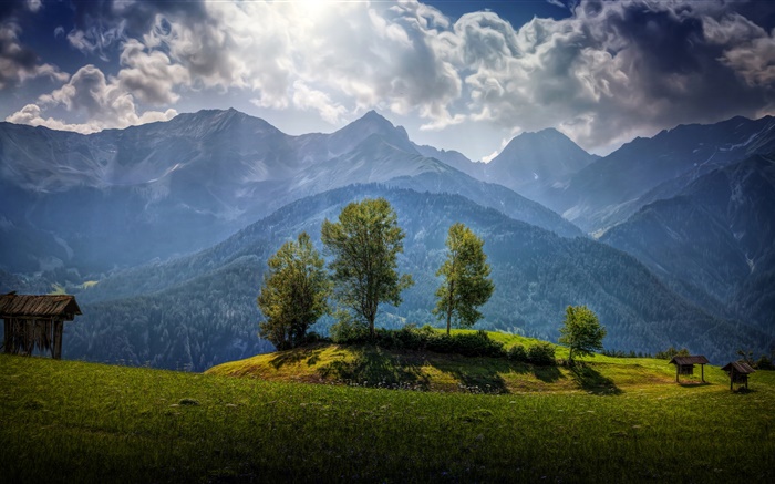 奧地利，山，樹，雲，草 桌布 圖片
