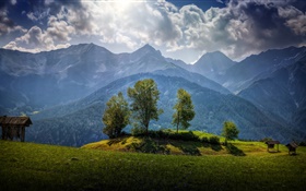 奧地利，山，樹，雲，草 高清桌布