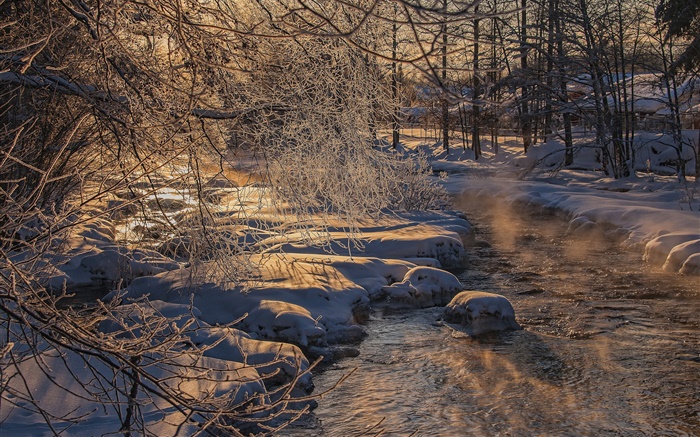 寒冷的冬天，樹木，河流，厚厚的積雪 桌布 圖片