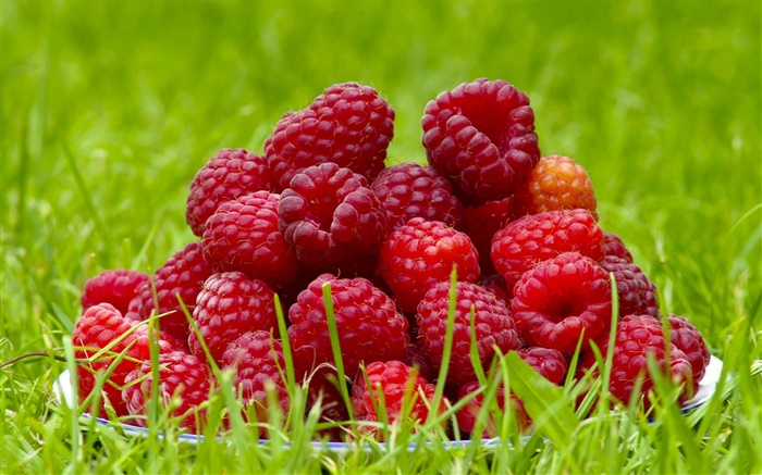 新鮮樹莓，紅色漿果，草，夏天 桌布 圖片