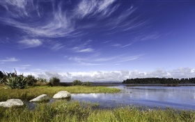 新西蘭，湖泊，岩石，草，藍色的天空，雲 高清桌布
