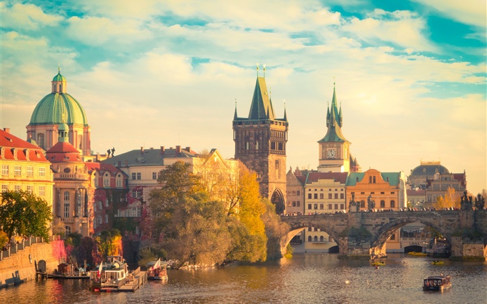 布拉格，捷克共和國，伏爾塔瓦河，查理大橋，船，房屋 桌布 圖片